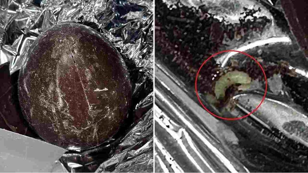 Apre l’uovo di Pasqua, quello che ci trova dentro è disgustoso: c’è da sentirsi male | Fabbrica di cioccolato chiusa immediatamente